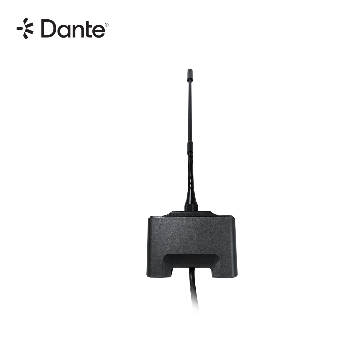 DNPM1 - Image 3